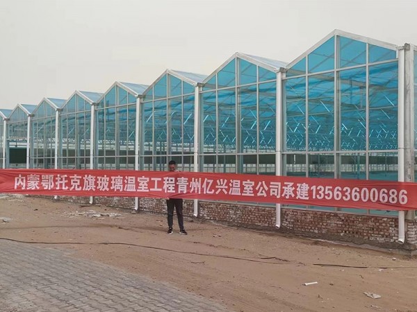 內蒙鄂托克旗玻璃溫室